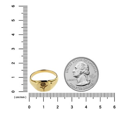 Sterling Silver Carnation (Flower of Month) Signet Ring Over 18K Yellow Gold Plated