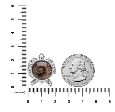 Sterling Silver Ammonite Shell Turtle Ring