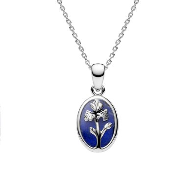 Sterling Silver Lapis Lazuli Iris Pendant With Chain 18 Inches
