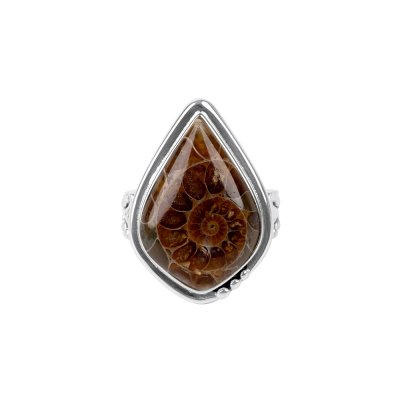 Sterling Silver Ammonite Shell Ring