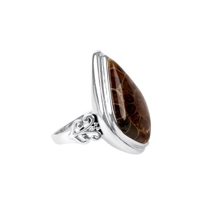 Sterling Silver Ammonite Shell Ring