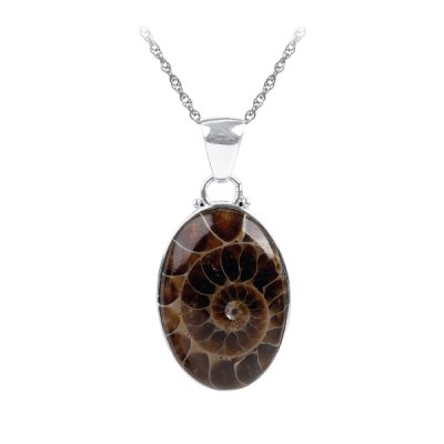Sterling Silver Ammonite Shell Pendant with Chain 18 Inches