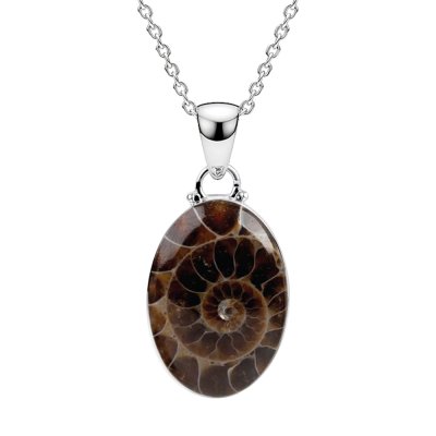 Sterling Silver Ammonite Shell Pendant with Chain 18 Inches