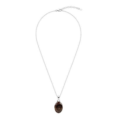Sterling Silver Ammonite Shell Pendant with Chain 18 Inches