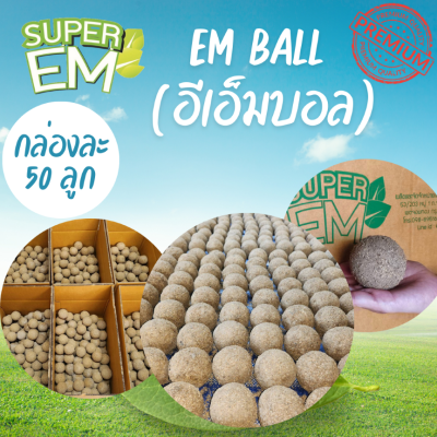 EM Ball 50 ลูก