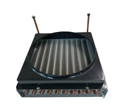 รังผึ้ง 2 แถว