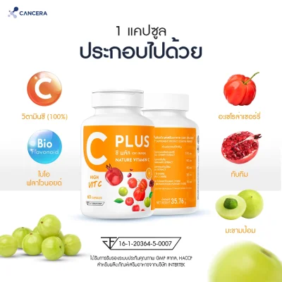 C Plus (ซี พลัส)