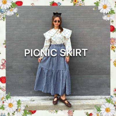 PICNIC SKIRT (BLUE)