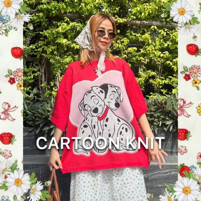 CARTOON KNIT