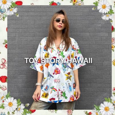 TOY STORY HAWAII
