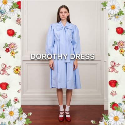 dorothy dress