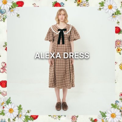 ALEXA DRESS (BROWN)