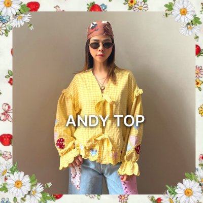 ANDY TOP