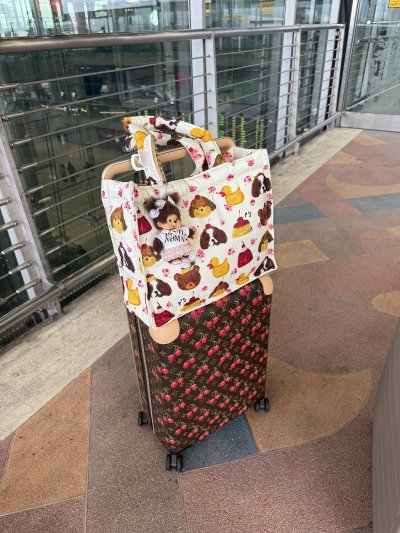 LOT จัดส่ง 20/9  FLUFFY FRIEND BAG (BUTTER)