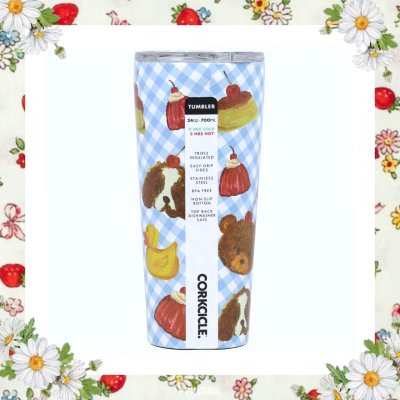 CORKCICLE 24OZ