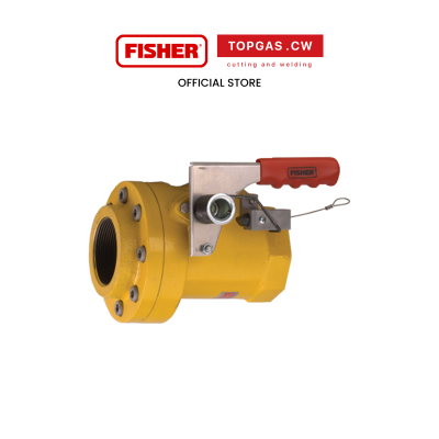 วาล์วปิดฉุกเฉิน Emergency Shut-Off Valve Fisher รุ่น N551