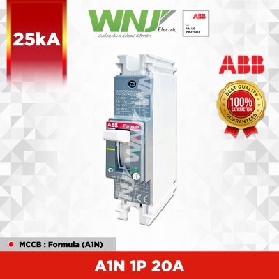 A1N 1P 20A