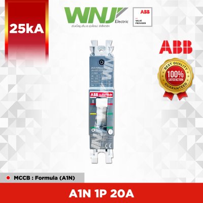 A1N 1P 20A