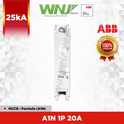 A1N 1P 20A