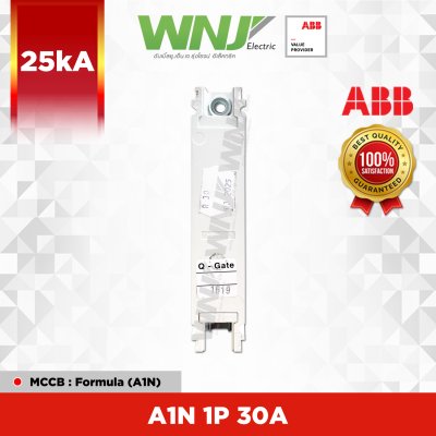 A1N 1P 25kA