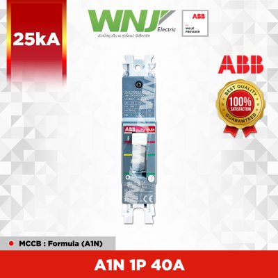 A1N 1P 40A