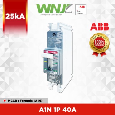A1N 1P 40A