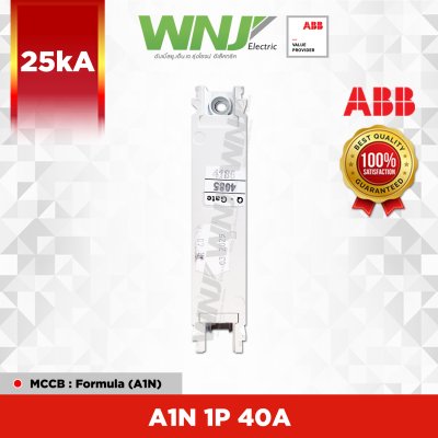 A1N 1P 40A