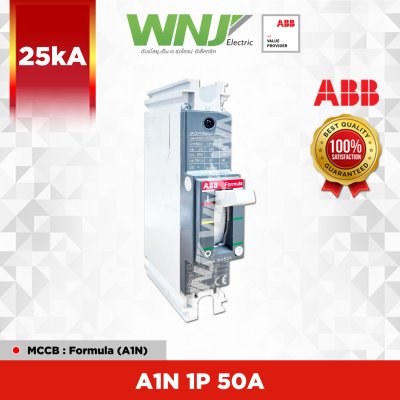 A1N 1P 50A