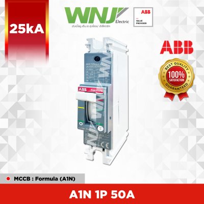 A1N 1P 50A