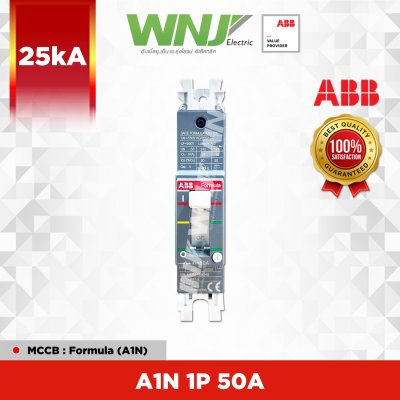 A1N 1P 50A