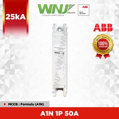A1N 1P 50A