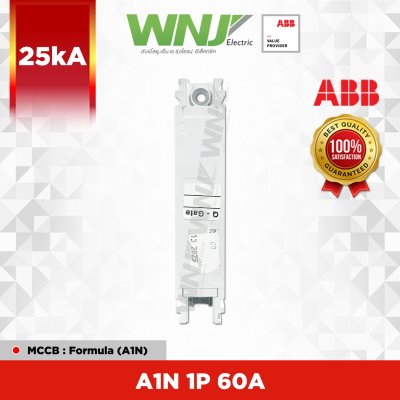 A1N 1P 60A