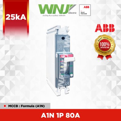 A1N 1P 80A