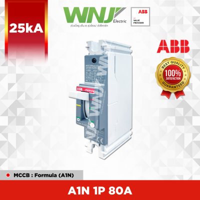 A1N 1P 80A