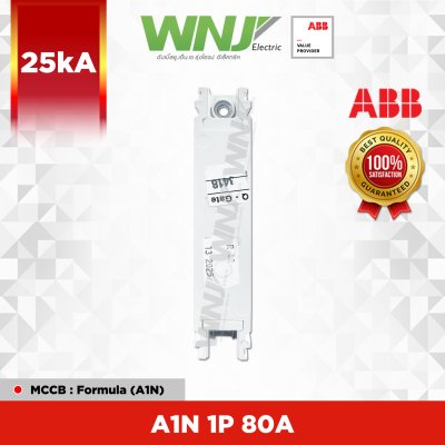 A1N 1P 80A