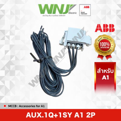 Aux.1Q+1SY A1 2P