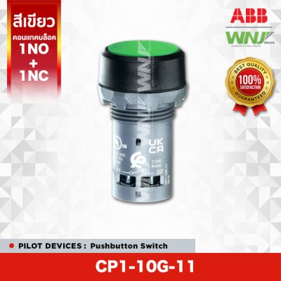 CP1-10G-11