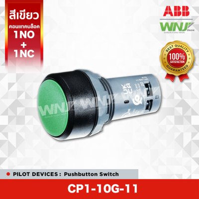 CP1-10G-11