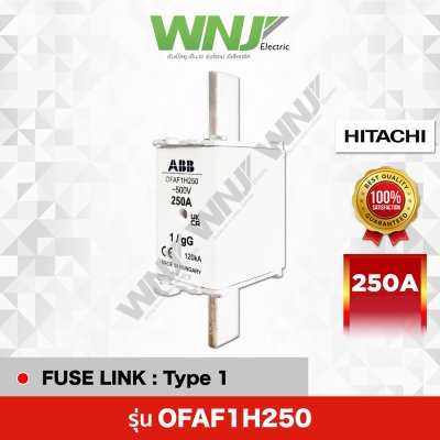 Fuse Link รุ่น OFAF1H250