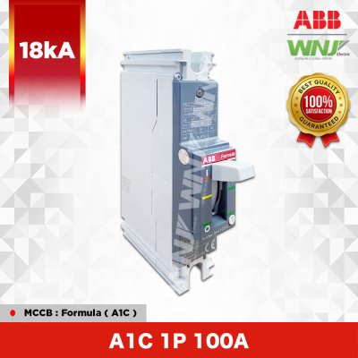A1C 1P 100A