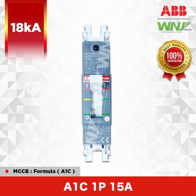 A1C 1P 15A