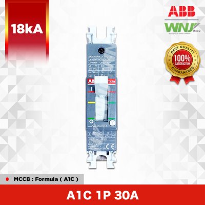 A1C 1P 30A