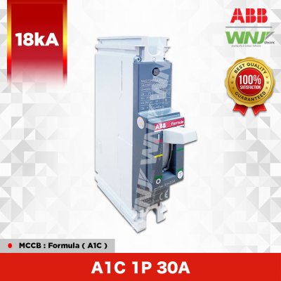 A1C 1P 30A