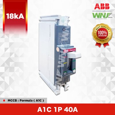 A1C 1P 40A