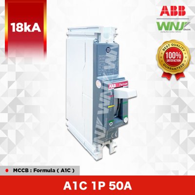 A1C 1P 50A
