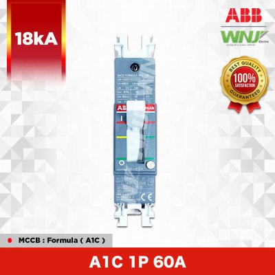 A1C 1P 60A