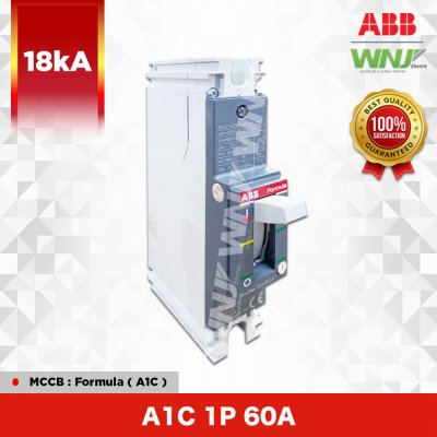 A1C 1P 60A