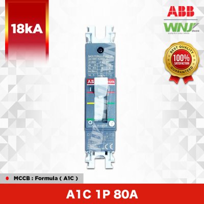 A1C 1P 80A