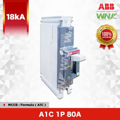 A1C 1P 80A