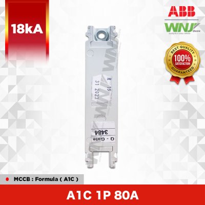 A1C 1P 80A